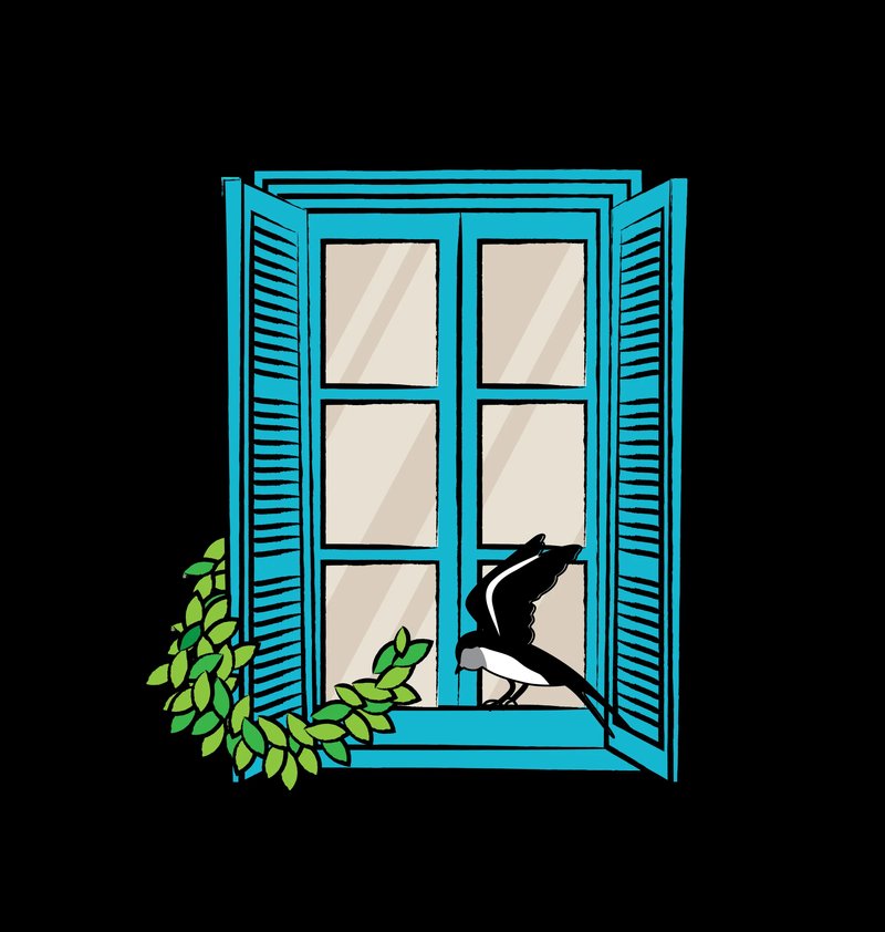 Cypriot Swallow